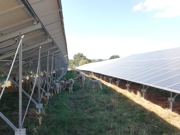 Solarpark Merscher Höhe