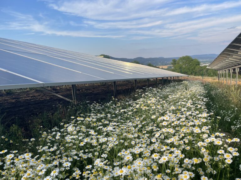 Solarpark Niederhone