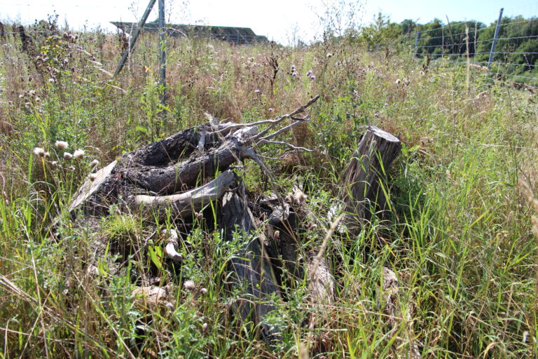 Solarpark Rottenbach